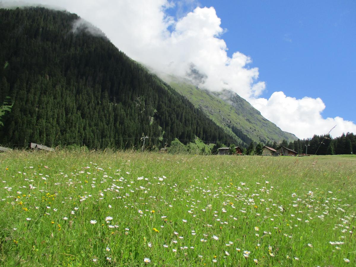 Hotel Silvretta Gargellen Εξωτερικό φωτογραφία